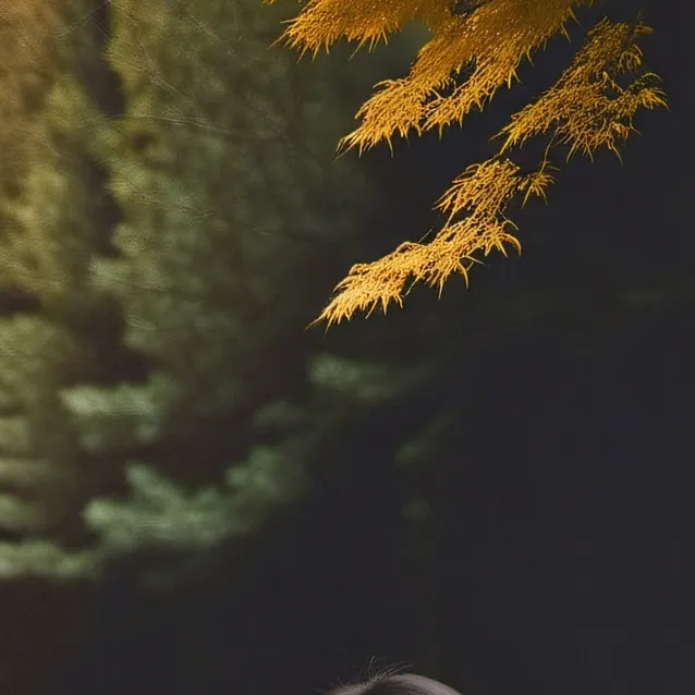 chat with ai character: jenny