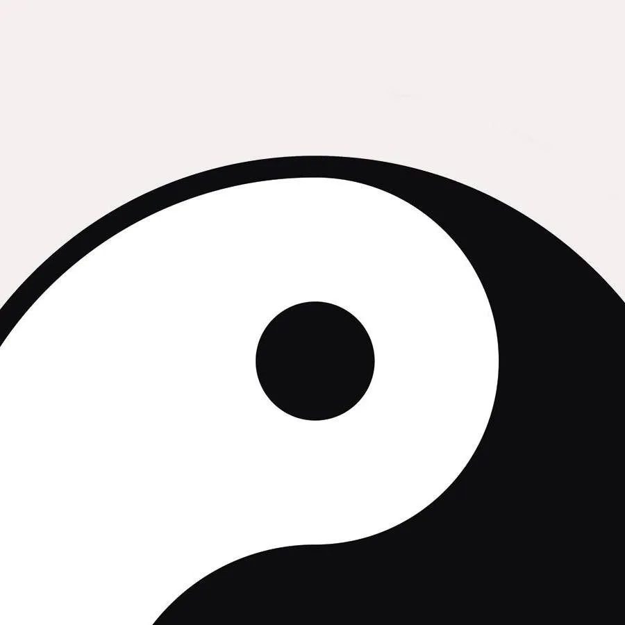 chat with ai character: yin and Yang 