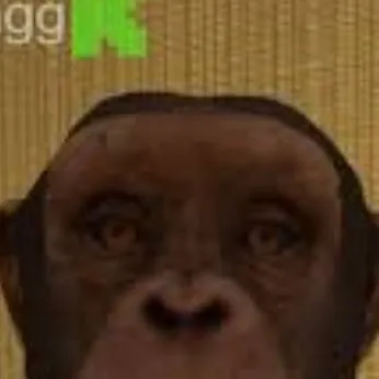 chat with ai character: Monito pobre