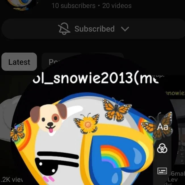 chat with ai character: Cool_snowei