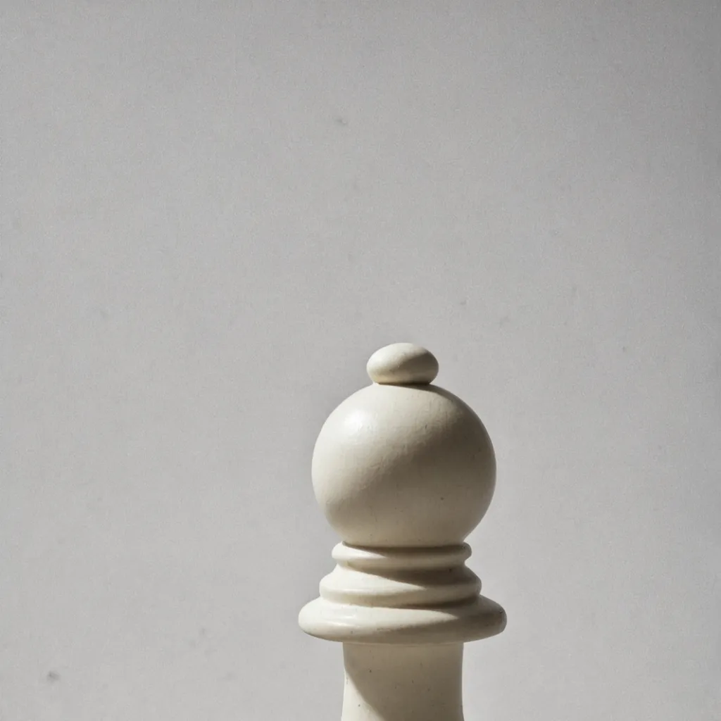 chat with ai character: ♟️~White pawn~⚪