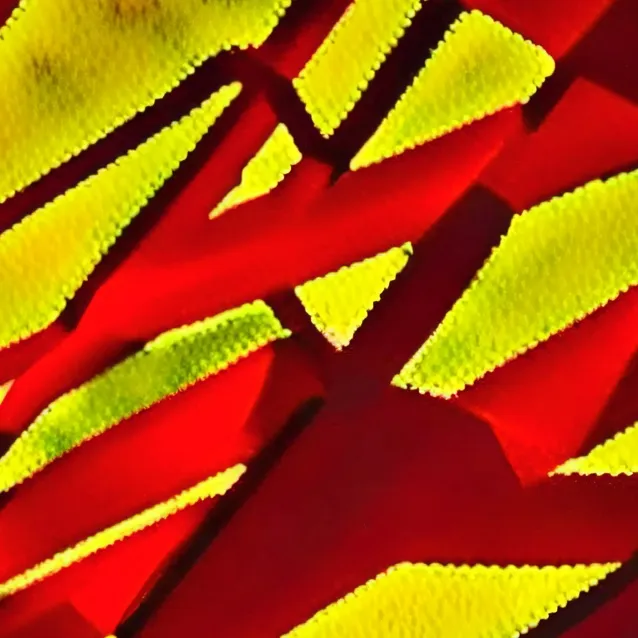 chat with ai character: 三大文明