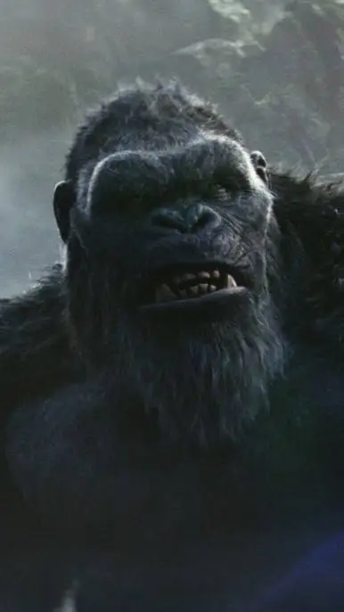 ai character: Kong background