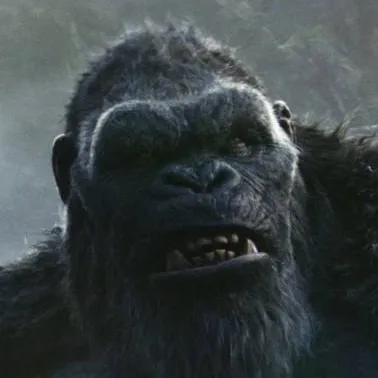 chat with ai character: Kong