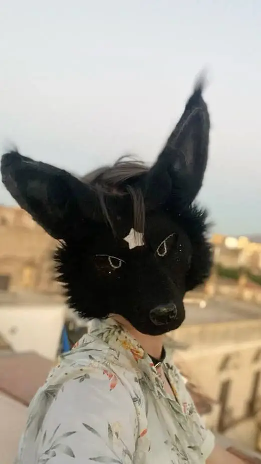 ai character: Bisexual therian background