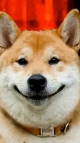 ai character: Smile Dog background