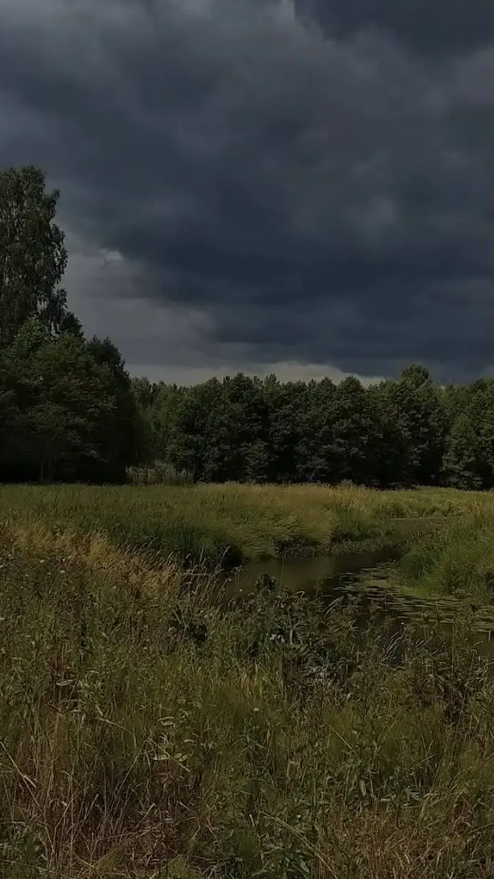 ai character: . background