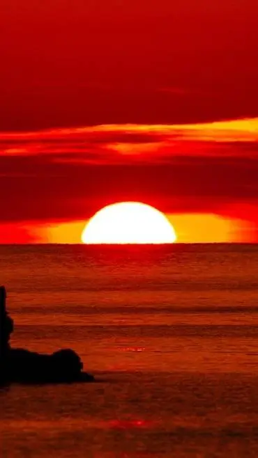 ai character: Закат background