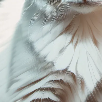 chat with ai character: Cat