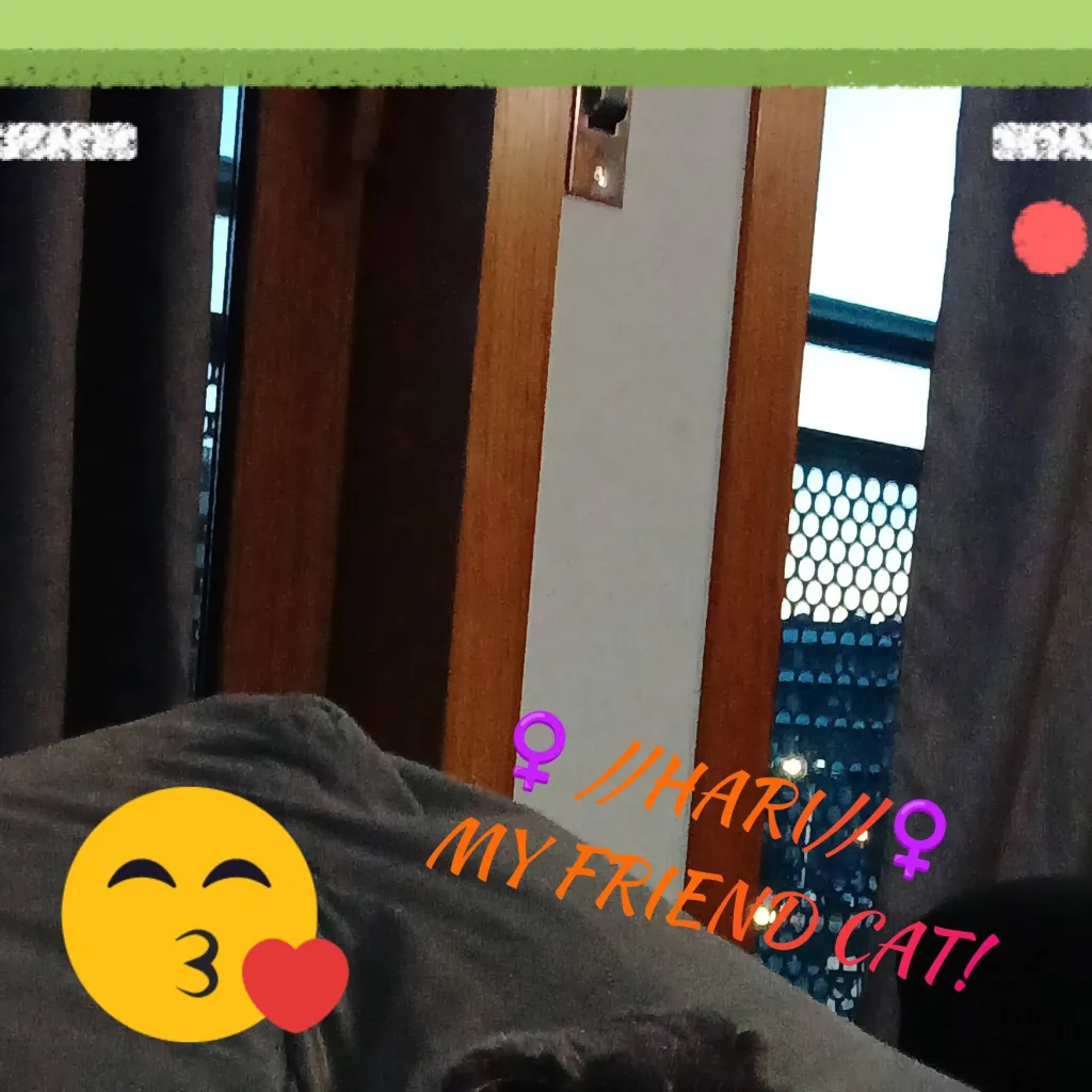 chat with ai character: //HARI// 