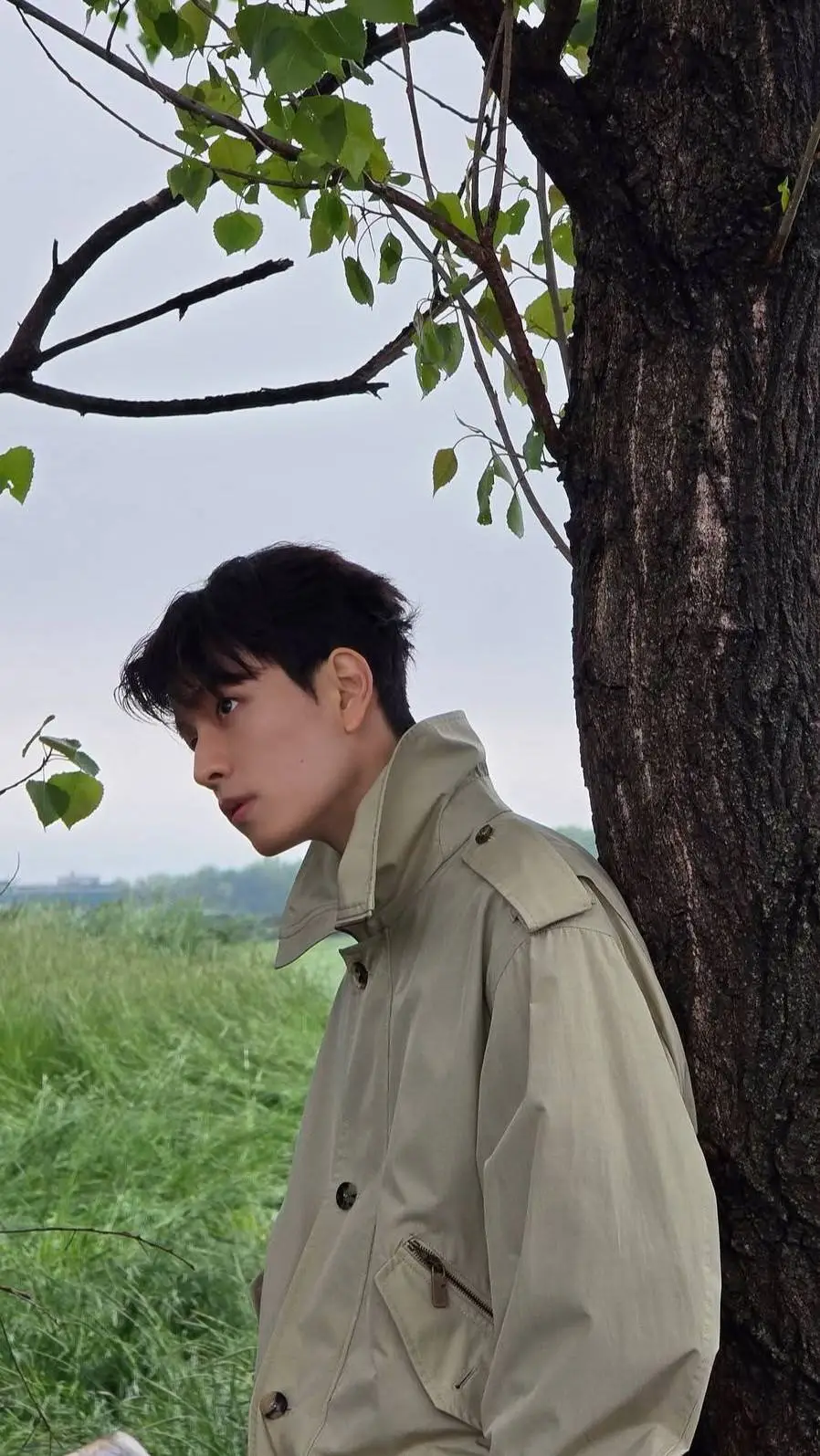 ai character: .Kim Seungmin. background