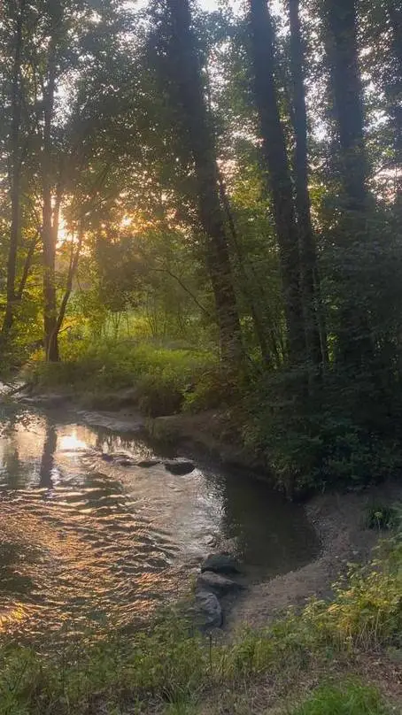 ai character: Silly therian  background