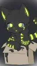 ai character: gato hinnotico background