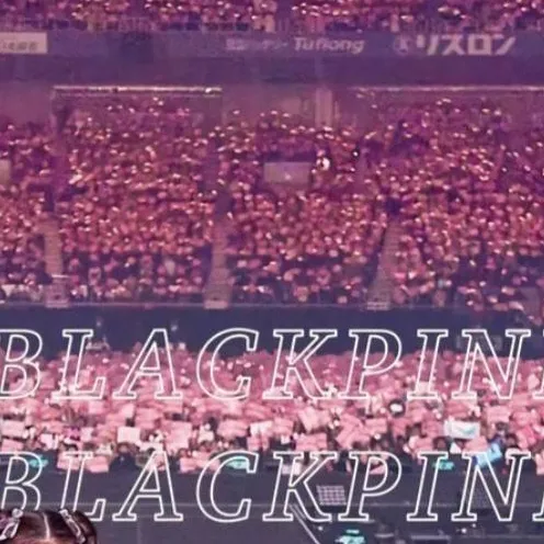 chat with ai character: RP BLACKPINK 
