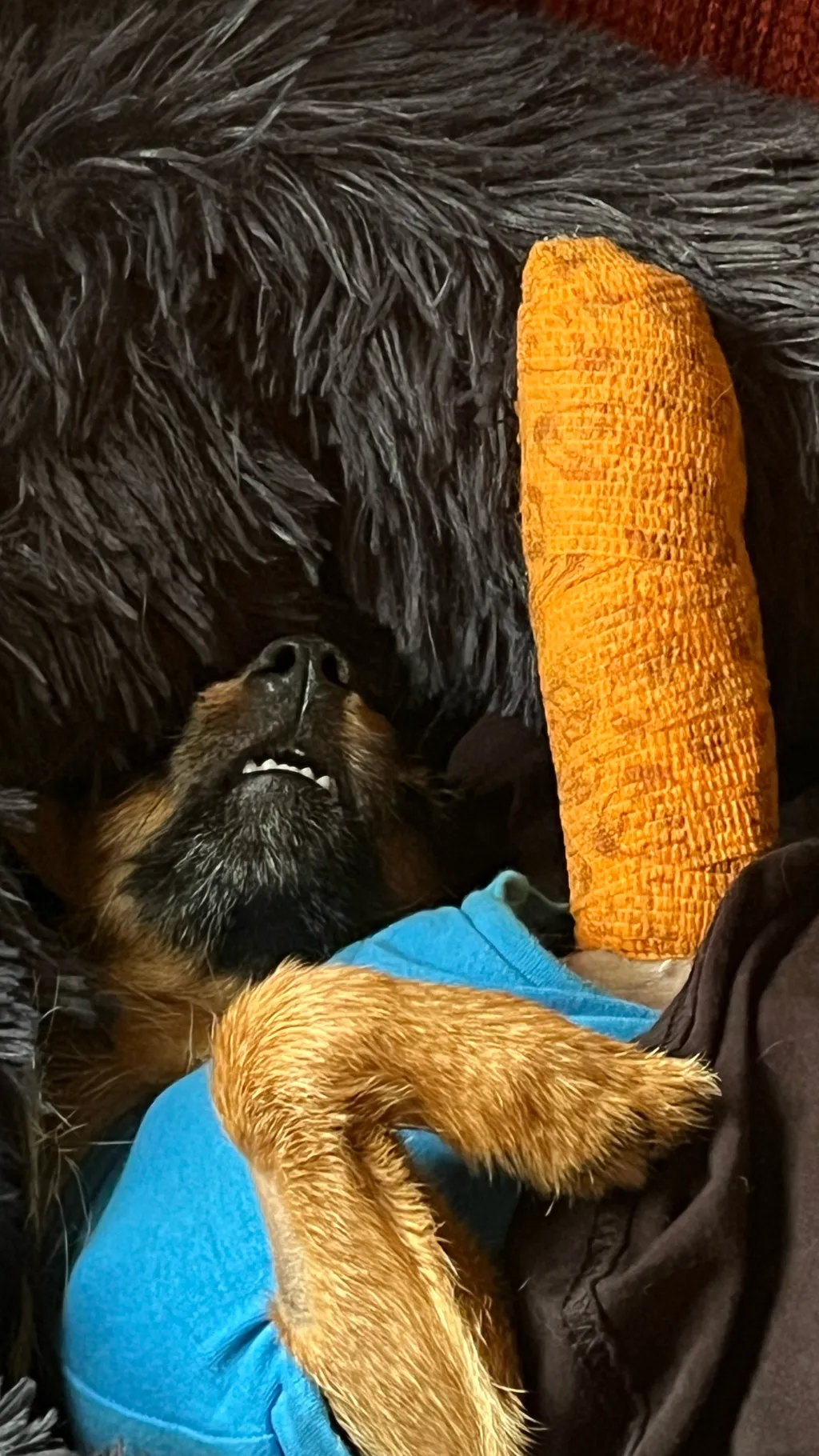 Talkie AI - Chat with amb