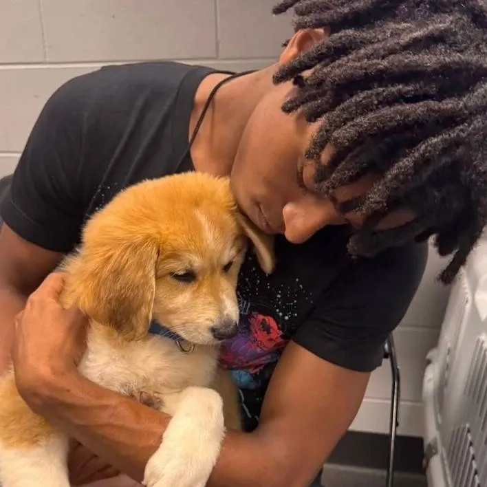 chat with ai character: Mekonnen🤍