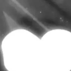 chat with ai character: Fake Oppression