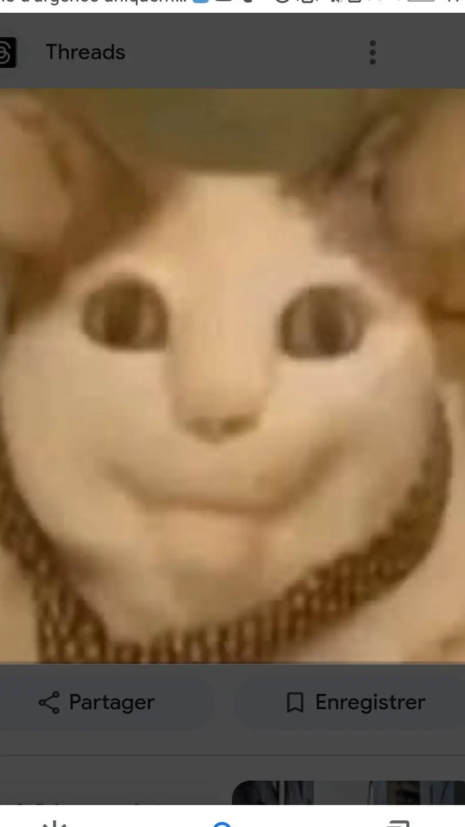 ai character: Bouh tu as peur background