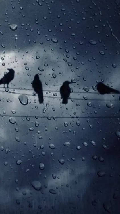 ai character: idk😔 background