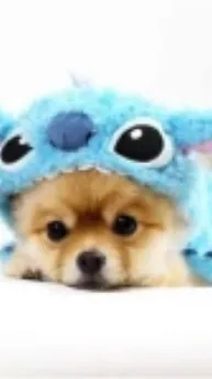 ai character: Dw ship babies background