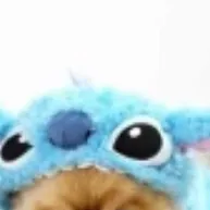 chat with ai character: Dw ship babies