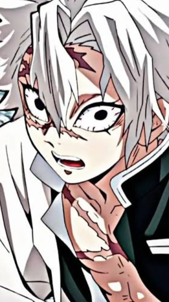 ai character: sanemi tu nv  background