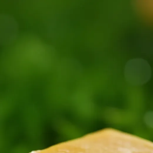 chat with ai character: talking cheese