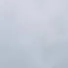 chat with ai character: shrimpo x tisha