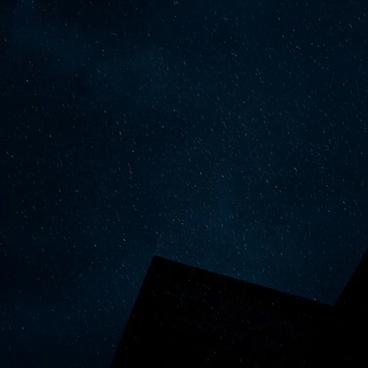 chat with ai character: night