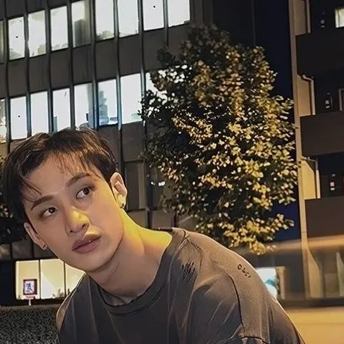 chat with ai character: 🐺Bangchan 🐺