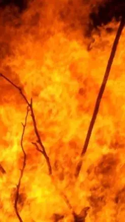 ai character: fire spirit! 🔥 background