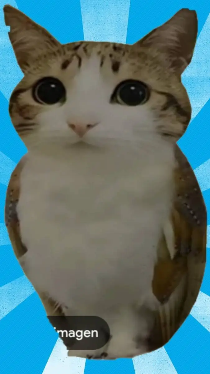 ai character: meowl background