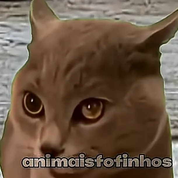 chat with ai character: Gato da Ucrânia