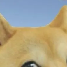 chat with ai character: DOG