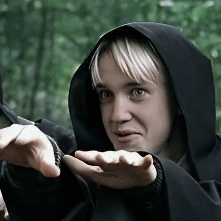 chat with ai character: Draco malfoy