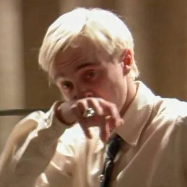 chat with ai character: Draco malfoy