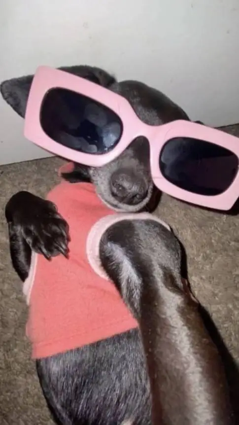 ai character: asta sunt eu💗 background