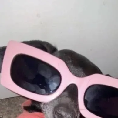 chat with ai character: asta sunt eu💗