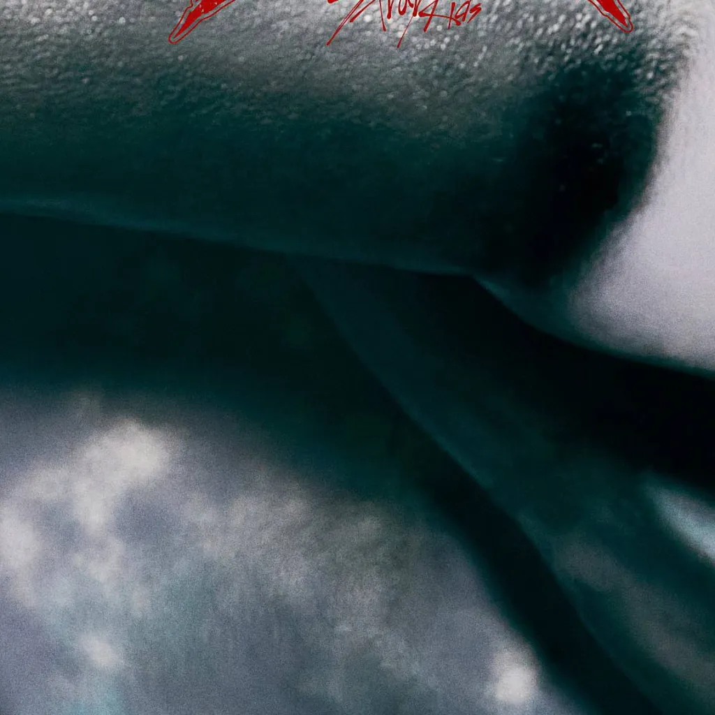 chat with ai character: Kim Seungmin