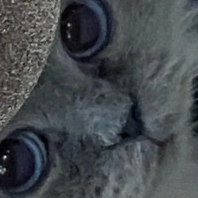 chat with ai character: Marnie