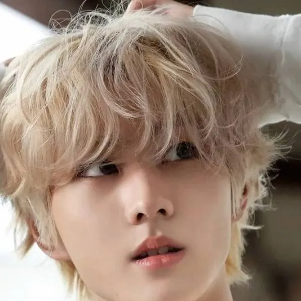 chat with ai character: Jungwon 