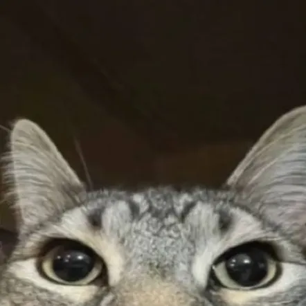 chat with ai character: simga