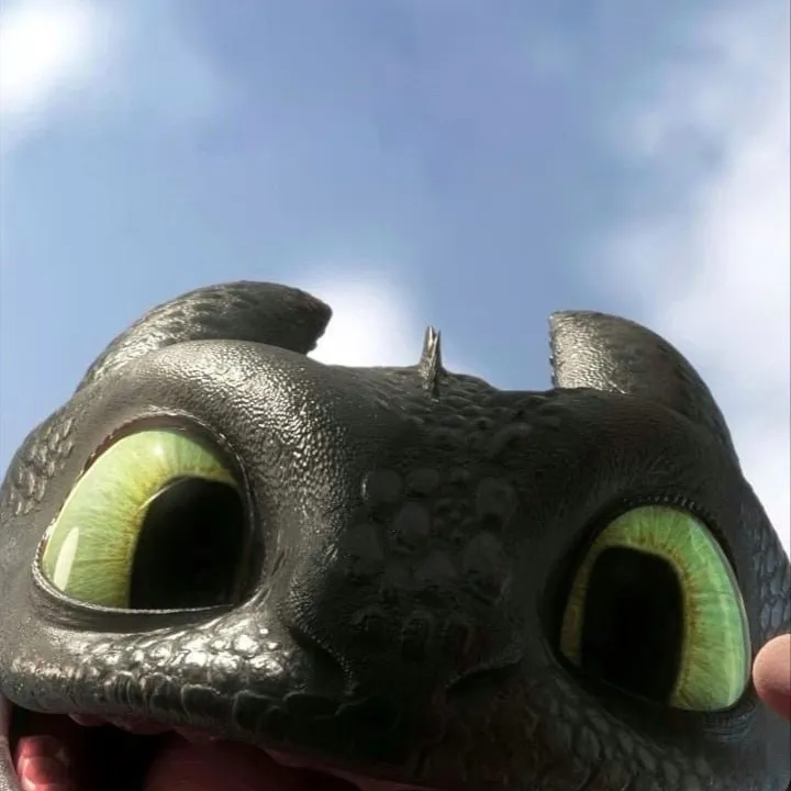 chat with ai character: HTTYD RP