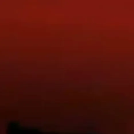 chat with ai character: Mr tree phase 3