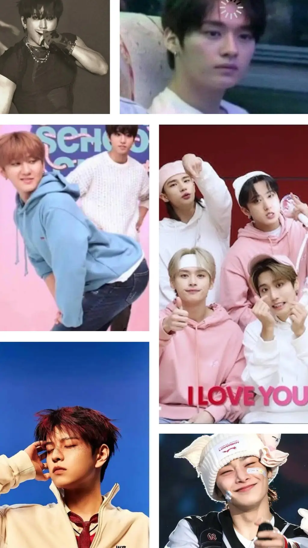 ai character: skz🐺🐤🦫🦝🐇 background