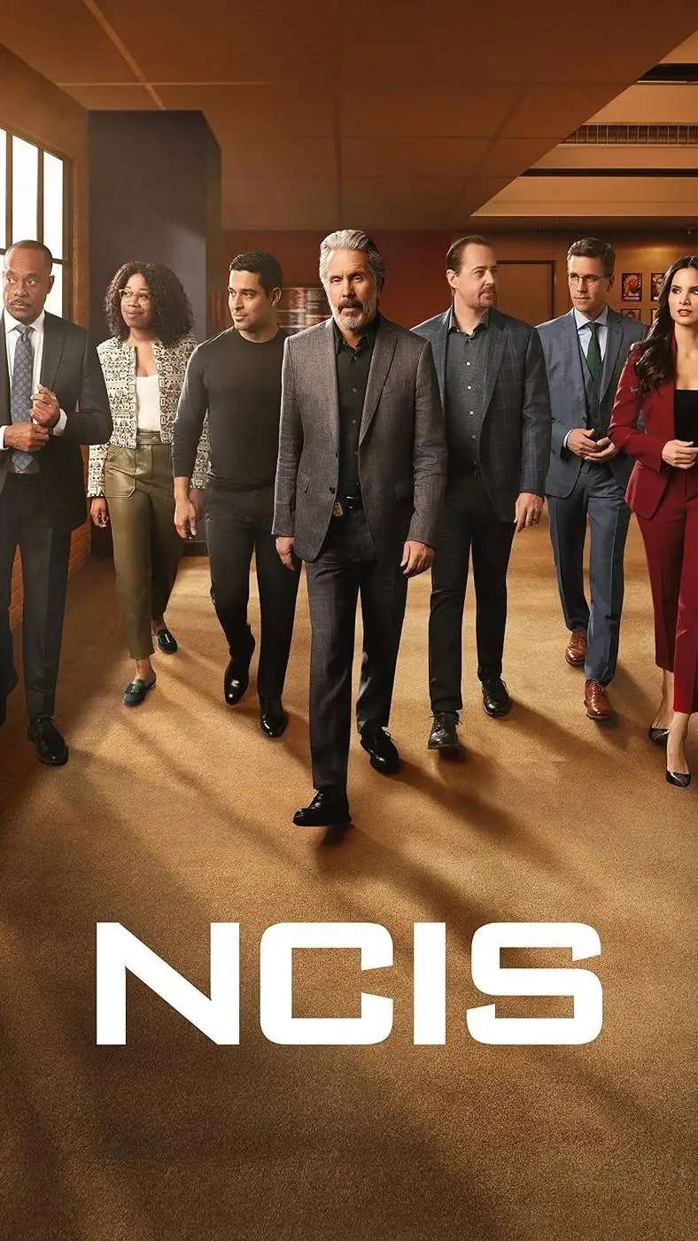 ai character: ncis background