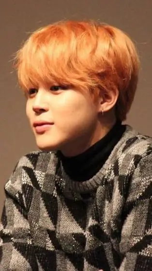ai character: Jimin  background