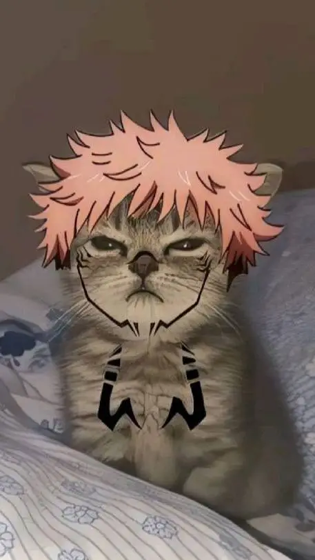 ai character: Mi Gatito sukuna  background