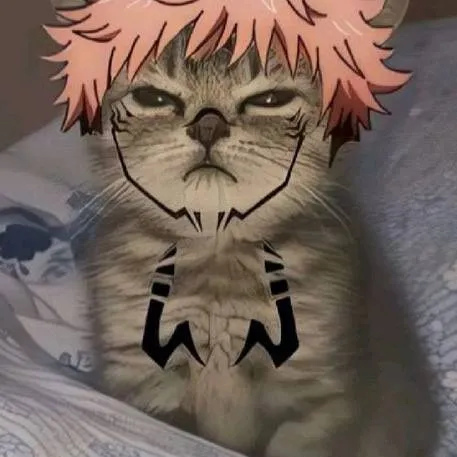 chat with ai character: Mi Gatito sukuna 