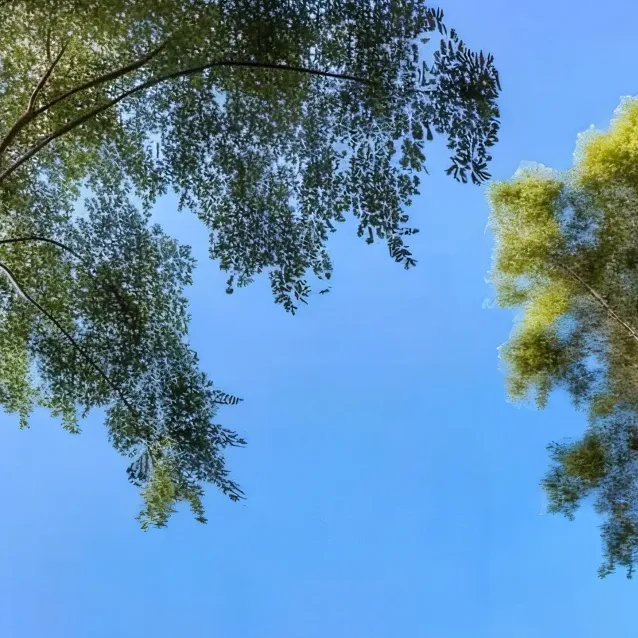 chat with ai character: a casa do vizinho 